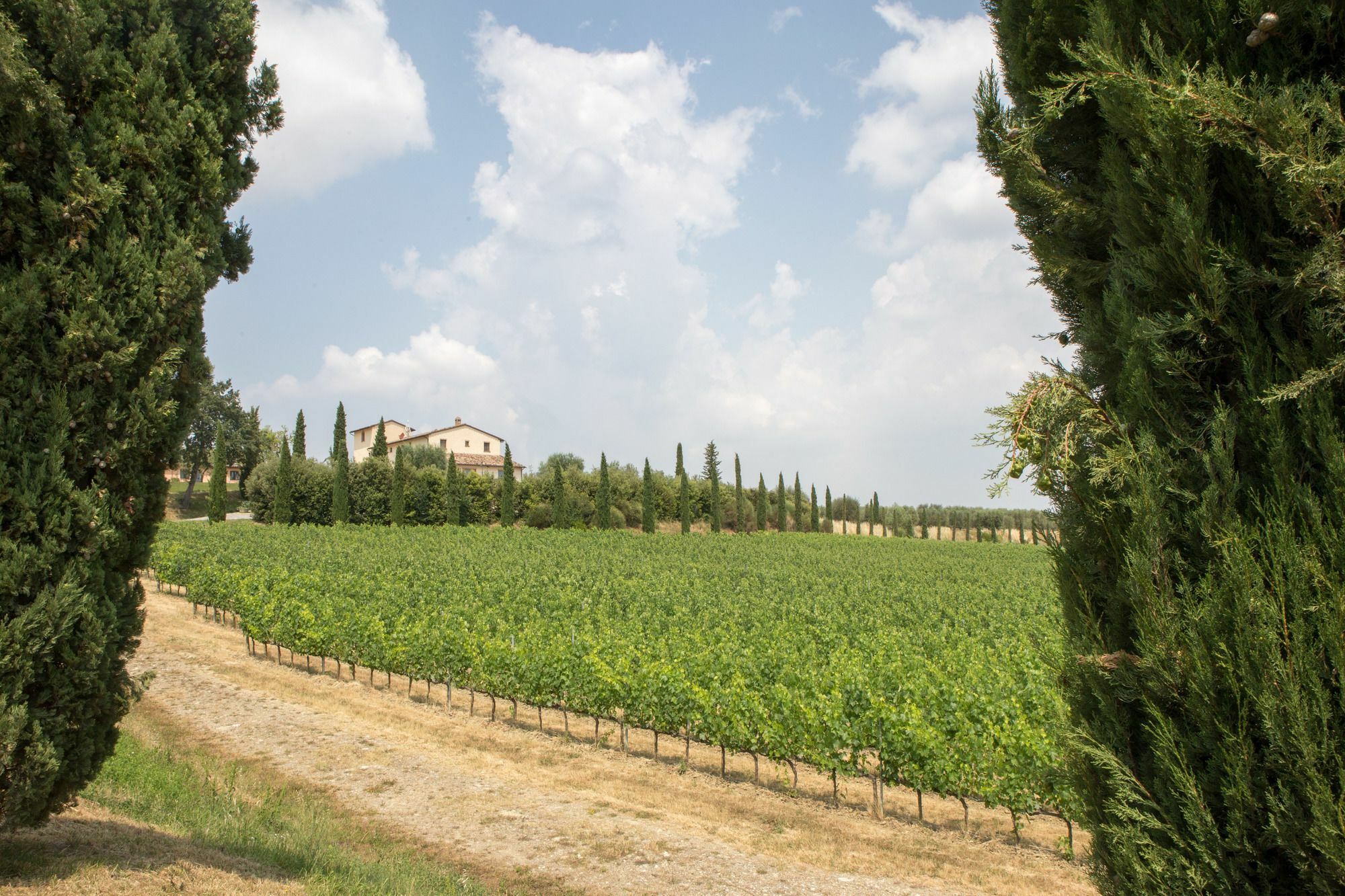 Macciano Le Buche Wine Resort&Spa מראה חיצוני תמונה